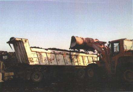 Crane in Action